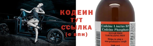 ECSTASY Белокуриха