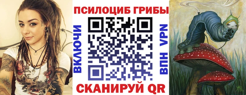 OMG зеркало  Вяземский  Псилоцибиновые грибы Psilocybe 